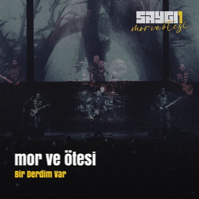 Bir Derdim Var (Saygi1, Canlı Senfonik)