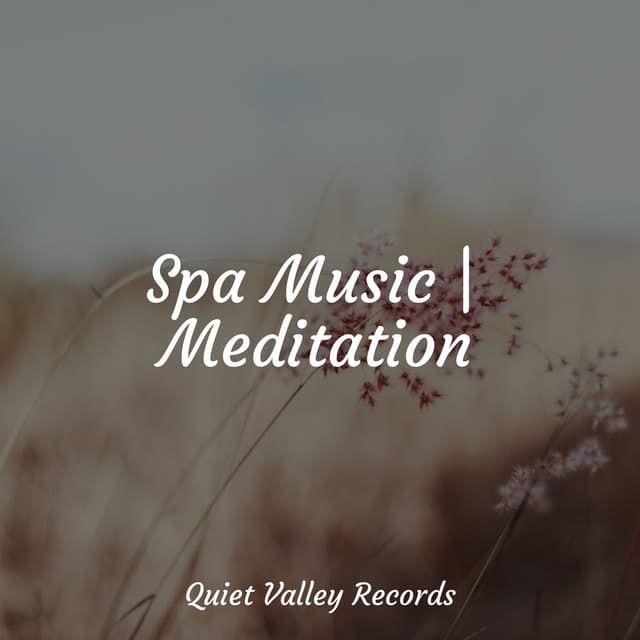 Spa Music | Meditation