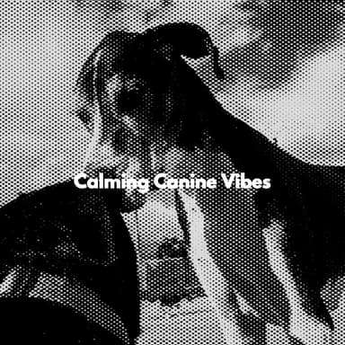 Calming Canine Vibes