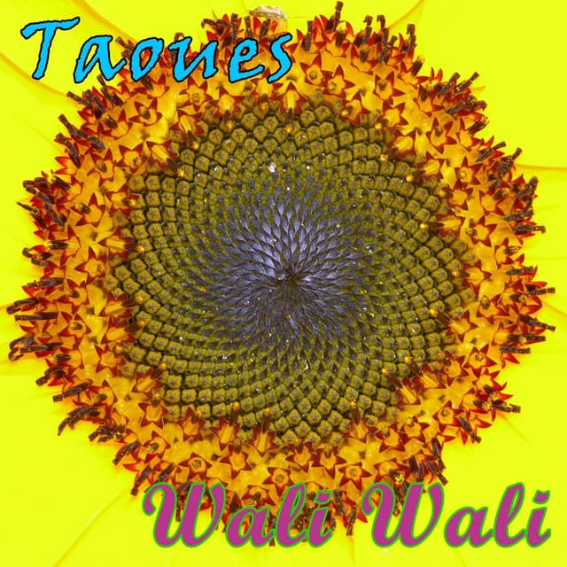 Taoues, Wali Wali