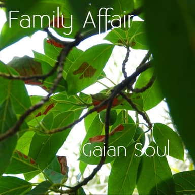 Gaian Soul