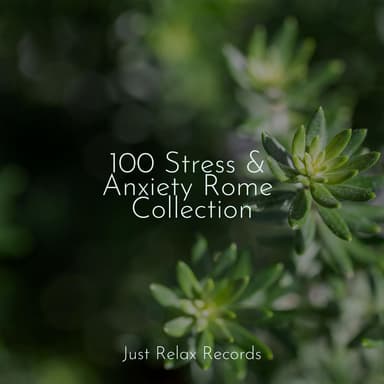 100 Stress & Anxiety Rome Collection