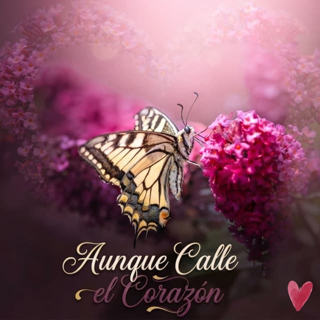 Aunque Calle el Corazón