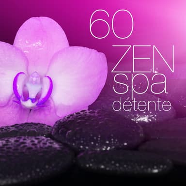 Zen spa détente massage relaxant: 60 chansons de méditation pour reiki yoga, avec sonne de la guérison de la pluie et de l'océan,