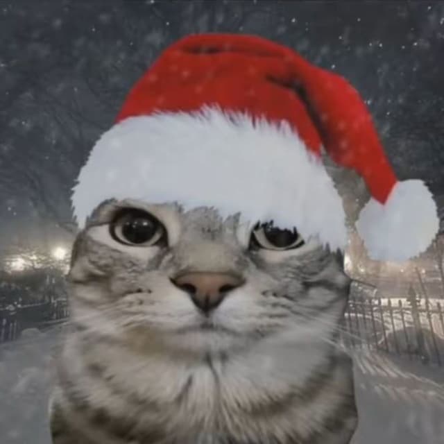 HAPPY CHRISTMAS!