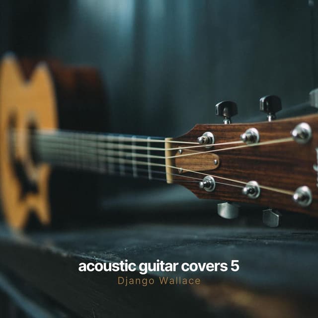 Acoustic Guitar Covers 5