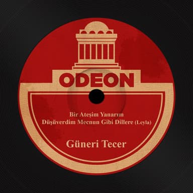 Düşüverdim Mecnun Gibi Dillere (Leyla)