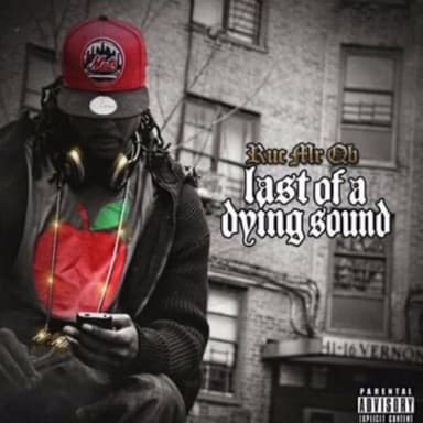 Last of Dying Sound