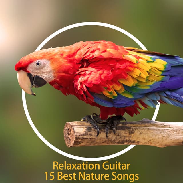 Relaxation Guitar - 15 Best Nature Songs