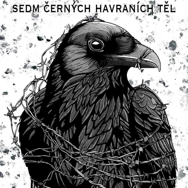 7 černých havraních těl