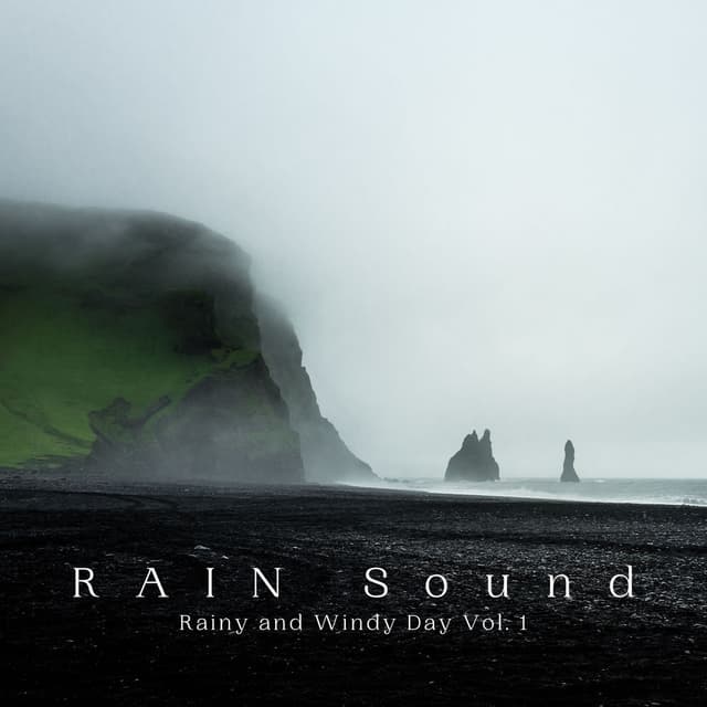 RAIN Sound: Rainy and Windy Day Vol. 1