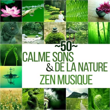 50 Calme sons de la nature & Zen musique - Détente et relaxation avec bruits de la nature et New Age, Bonne humeur, Clarifier idée