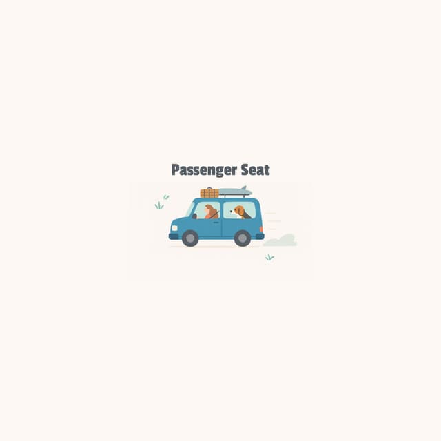 Passenger Seat