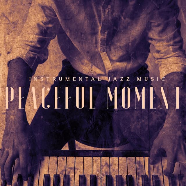 Instrumental Jazz Music: Peaceful Moment for Relaxation. Evening After Work with Classical Piano Sounds