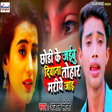 Chhodi Ke Jaibu Deewana Tohar Marie Jai