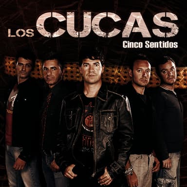 Cinco Sentidos