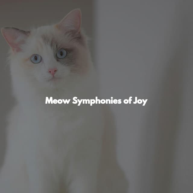 Meow Symphonies of Joy