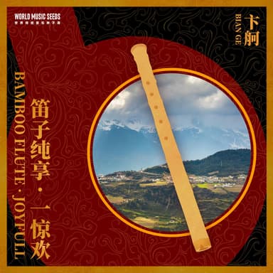 Bamboo Flute: Joyfull 笛子纯享:一惊欢