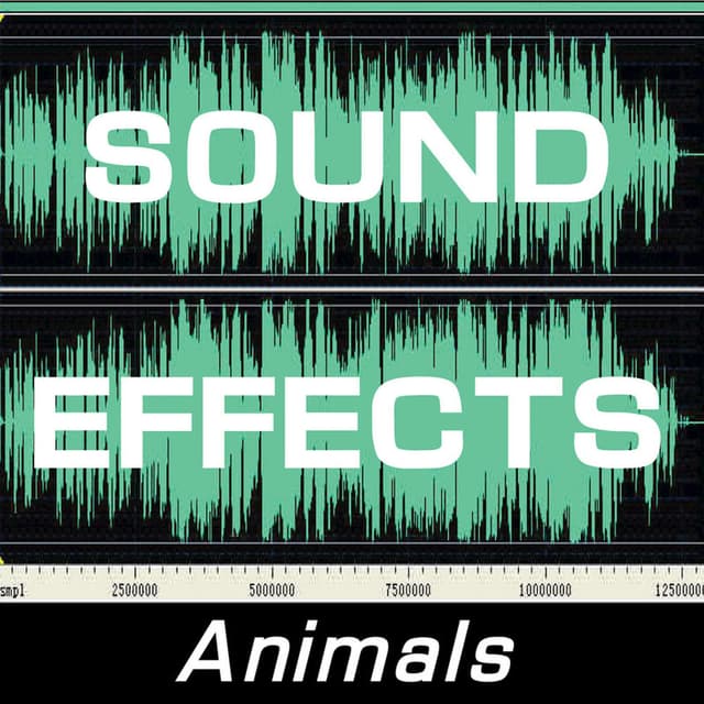Sound Effects: Animals