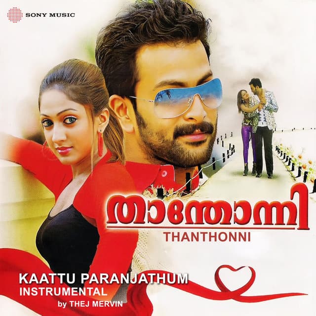 Kaattu Paranjathum