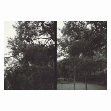 just like any other day (어느날) : background music for your mundane activities
