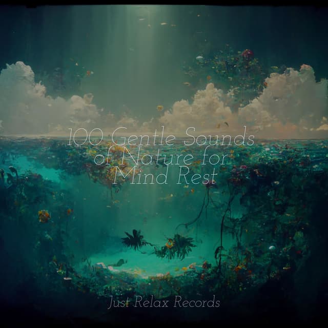 100 Gentle Sounds of Nature for Mind Rest