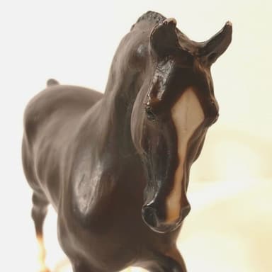 Horse Meat