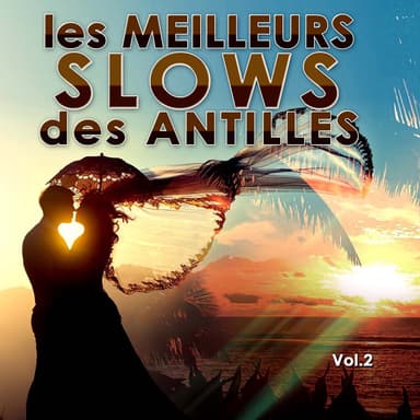 Les Meilleurs Slows Des Antilles, Vol.2
