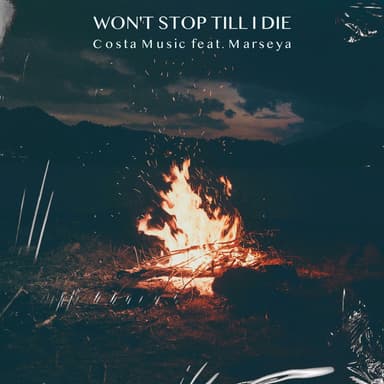 Won't Stop Till I Die (feat. Marseya)