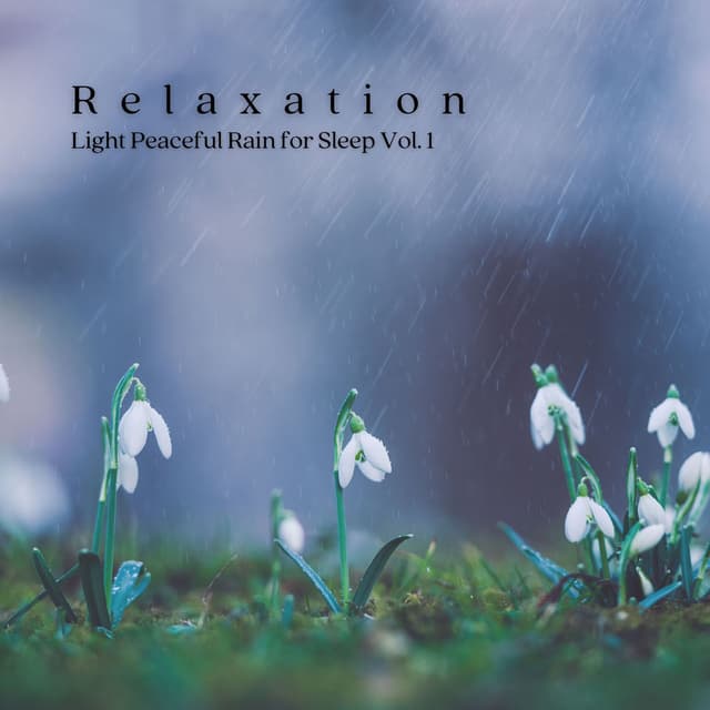 Relaxation: Light Peaceful Rain for Sleep Vol. 1