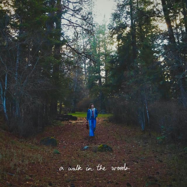 A Walk In The Woods