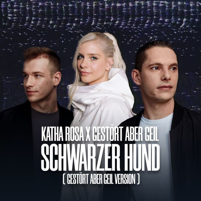 Schwarzer Hund (Gestört aber GeiL Version)
