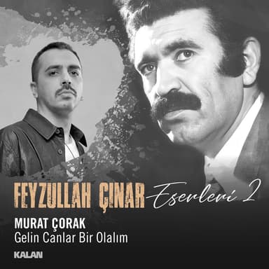 Gelin Canlar Bir Olalım (Feyzullah Çınar Eserleri 2)