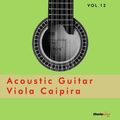Acoustic Guitar & Viola Caipira: Vol.12