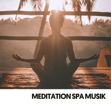 Meditation Spa Music: Harmonisieren mit der Symphonie der Natur