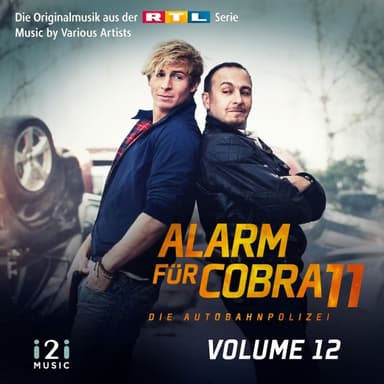 Alarm für Cobra 11, Vol. 12 (Die Originalmusik aus der RTL Serie)