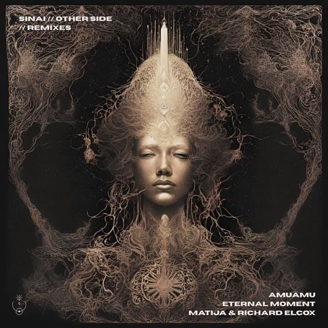 Other Side Remixes