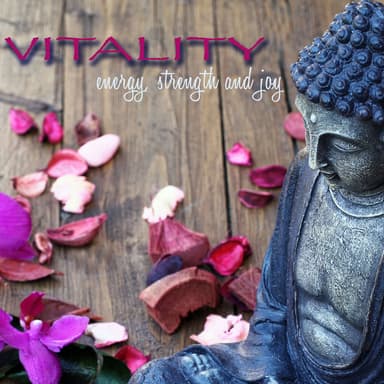 Vitality – Energy, Strength and Joy with Anti Stress Vinyasa Yoga Music