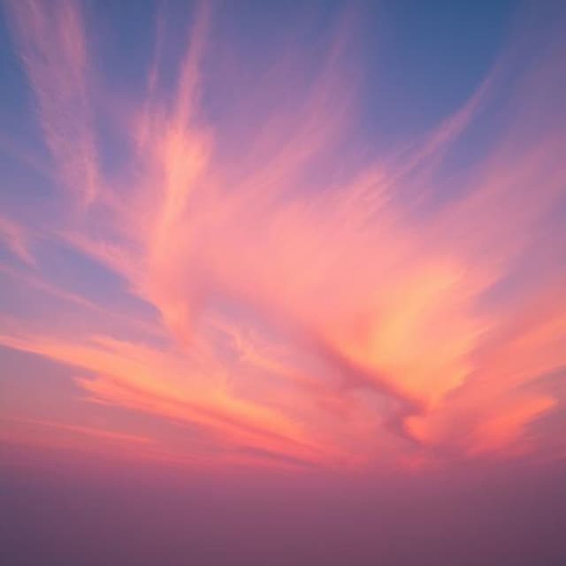 Up to the Skies