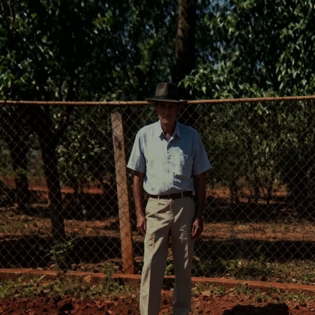 Saudades do meu pai