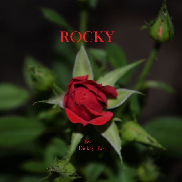 Rocky (Radio Edit)