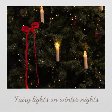 Fairy Lights on Winter Nights