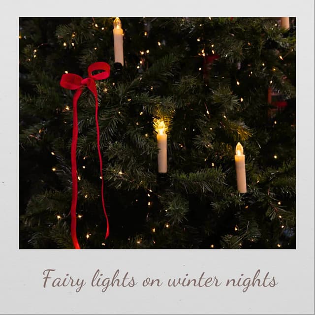Fairy Lights on Winter Nights