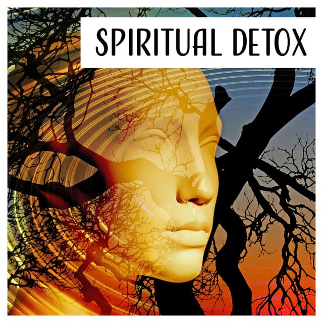 Spiritual Detox