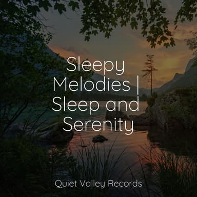 Sleepy Melodies | Sleep and Serenity
