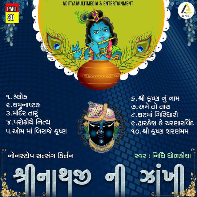 Shrinathji Ni Zankhi-Nonstop Satsang Kirtan Part 30