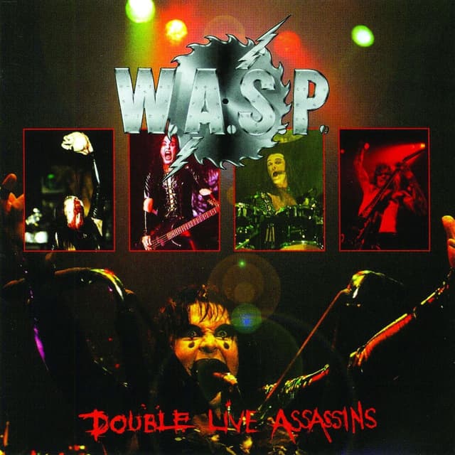 Double Live Assassins