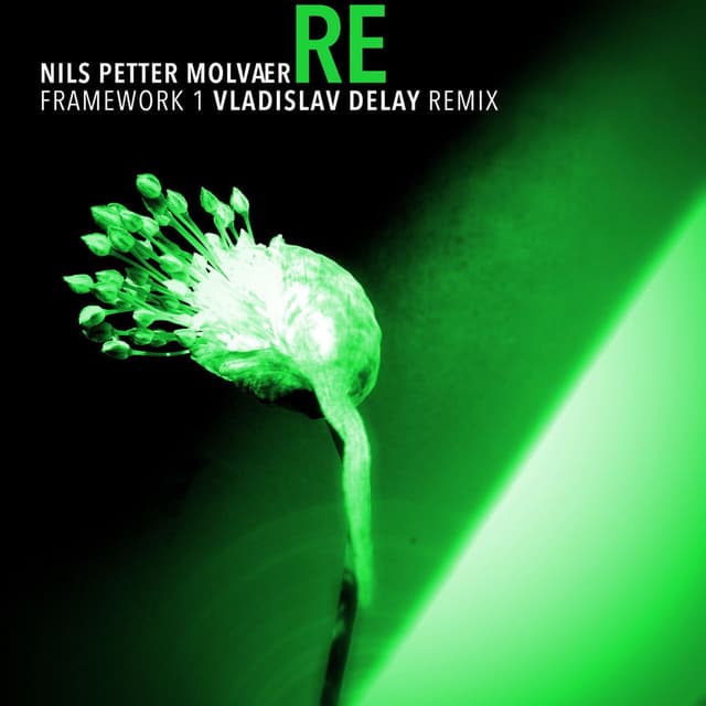 Framework 1 (Vladislav Delay Remix)