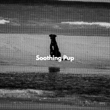 Soothing Pup