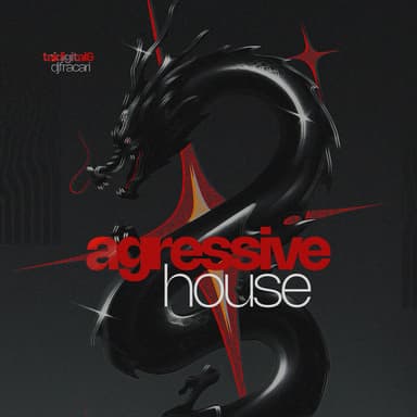 MEGA AGRESSIVE HOUSE (feat. TAIDigital)